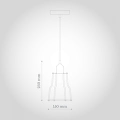 Denman Cone Industrial Black Cage Pendant Light - SE Home