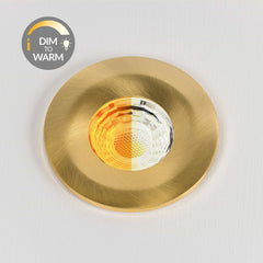 Brushed Gold CCT Dim To Warm Fire Rated LED Dimmable 10W IP65 Downlight - SE Home