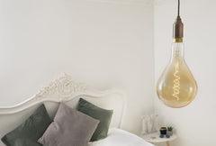 LARGE 6W E27 ES Vintage Edison PS160 LED Light Bulb 1800K Spiral Filament High CRI Dimmable - SE Home