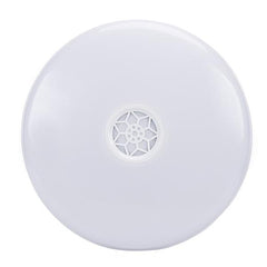 Smart Led Ceiling Lamp 24W, Color Changing Rgb And Speaker
