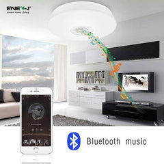 Smart Led Ceiling Lamp 24W, Color Changing Rgb And Speaker